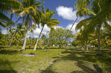 sea and landscape on Fakarava atoll, Tuamotus archipelago, French Polynesia, France,south pacific
