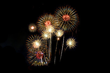 Colorful fireworks in the night sky