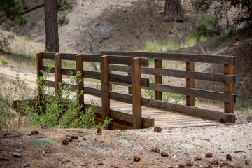 Wooden bridge crossing a hiking trail in the forrest 