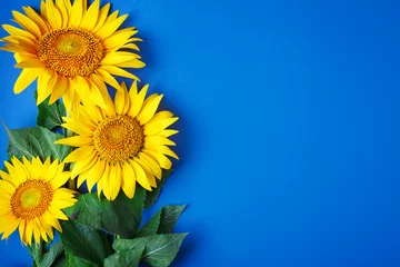 Zelfklevend Fotobehang Mooie zonnebloemen op blauwe achtergrond. Uitzicht van boven. Achtergrond met kopie ruimte. © Anna