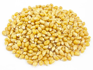 corn seeds isolated on white