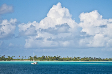 Fototapeta na wymiar reef ring,lagoon and motu on Tahanea atoll, Tuamotus archipelago, French Polynesia, south pacific