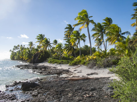 reef ring,lagoon and motu on Tahanea atoll, Tuamotus archipelago, French Polynesia, south pacific