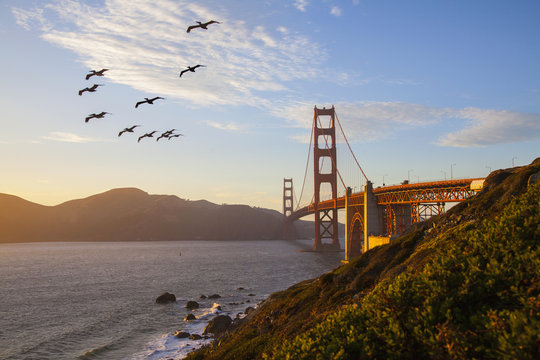Golden Gate Bridge - Powered by Adobe
