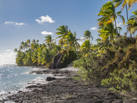 reef ring,lagoon and motu on Tahanea atoll, Tuamotus archipelago, French Polynesia, south pacific