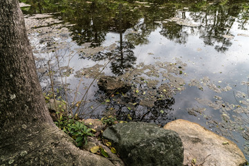 Ufer des Teiches im Shosei-en Garten, Kyoto
