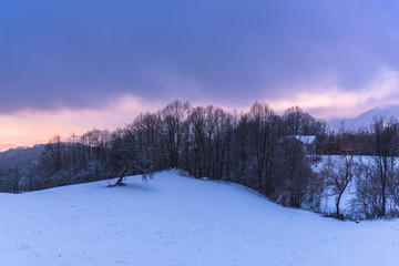 Winter landscape