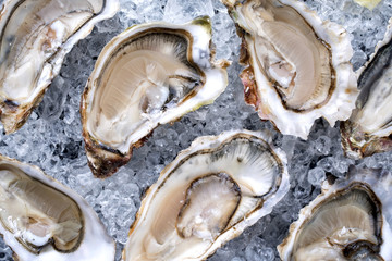 Frische Austern geöffnet als closeup angeboten auf zerstossenen Eis