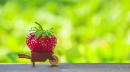 on a green background a small brown toy car with a large huge berries of red strawberries place inscription