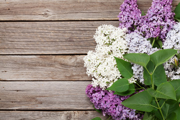 Colorful lilac flowers