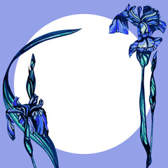 Iris flowers Hand drawn ink illustration. Wallpaper or fabric design.