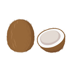 Coconut with leaf vector icon. Coconut icon clipart. Sliced coconut cartoon.