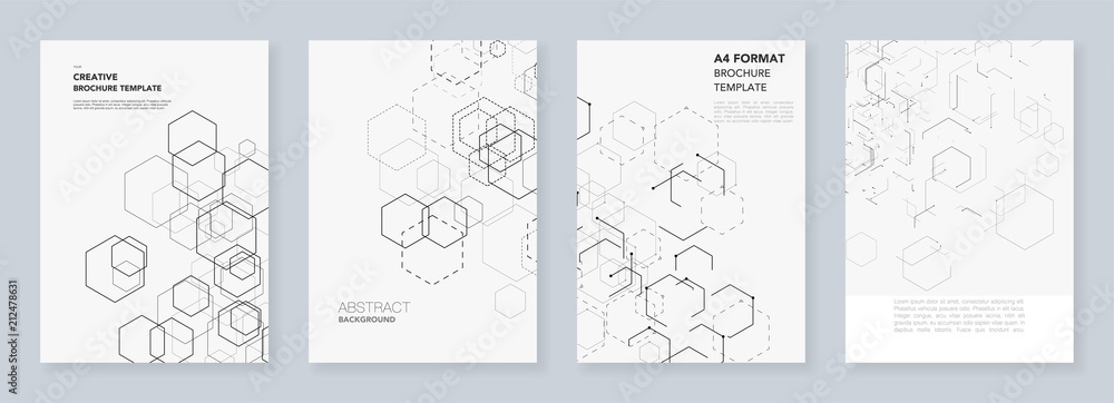 Wall mural minimal brochure templates with hexagons and lines on white. hexagon infographic. digital technology