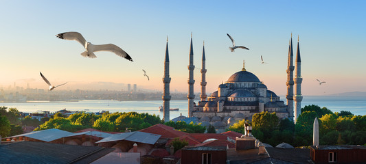 Naklejka premium Meczet i Bosfor w Stambule