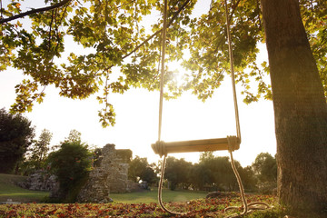 An empty wooden swing is hung on a rope on a large live oak branch . Calm relaxing beautiful view .