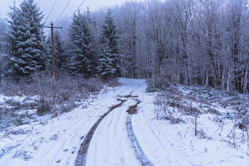 Obraz premium Winter landscape on the forest with fresh snow