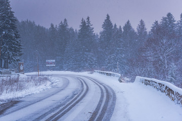 Winter landscape