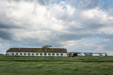 Ruined cowshed in the field, Ukraine, village Shagany