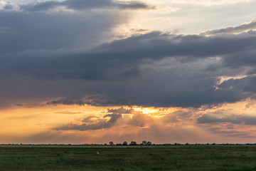Rural landscape. Sunset in the field.