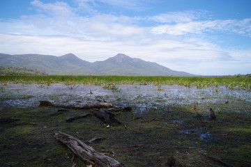 Swamp with distant Mountain