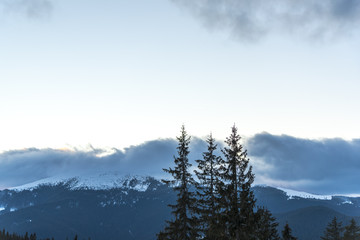 Winter inside of the forest