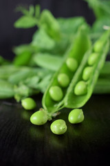 Green pea pods against the dark background