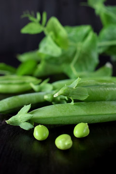 Green pea pods against the dark background