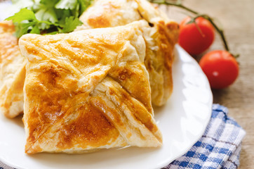 Homemade puff pastry with chicken and mushroom