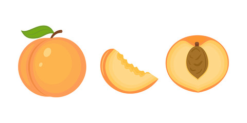 Guicy peach fruit whith green  leaf, half and peach slice vector