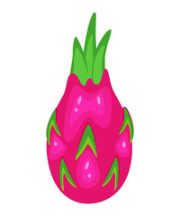 Dragon fruit vector illustration in flat style  isolated on whit