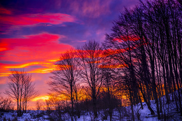 Fantastic colours of the sky at the sunrise in the winter