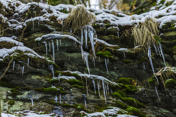 Icicles on the rocks inside of the forest