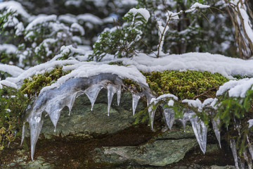 Icicles on the stones ion cold winter