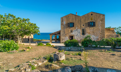 Mediterranean scenery in Selinunte, ancient greek town in Sicily, Italy.