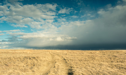 Fototapeta na wymiar Yellow field with blue sky and clouds