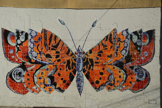 Borboleta- Rio De janeiro -- Babilonia