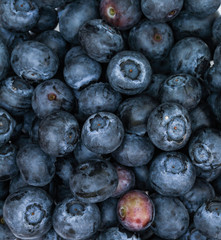 Blaubeeren im Detail