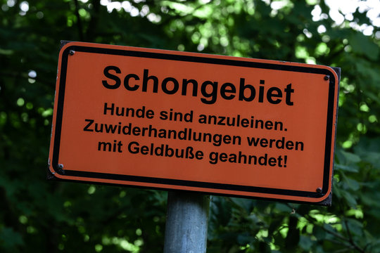 Anleinpflicht Bilder Durchsuchen 37 Archivfotos, und