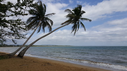 Puerto Rico © Kamil
