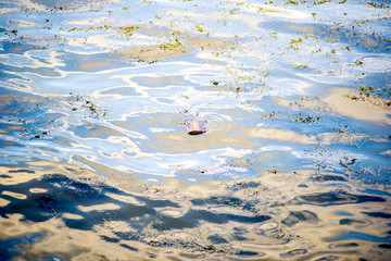 Close view on the road roller working on the new road construction site.repair