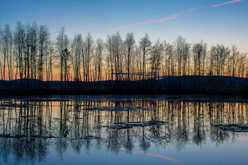 Reflection of trees in the water at sunset