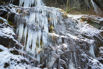 Winter landscape