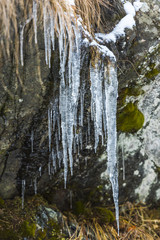 Winter icicles on the rocks
