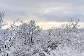 Wintyer landscape in Sacaramb , Romaniua