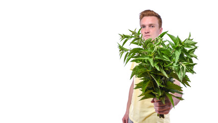 Conception - breakup of relationships, divorce. Man with bunch of nettle in hand, isolated on white on white background