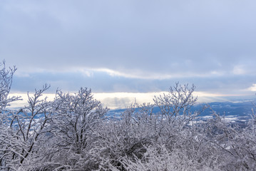 Winter landscape with fresh snow