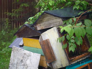 Abandoned old beehives
