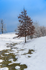 Winter landscape