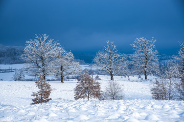 Winter landscape