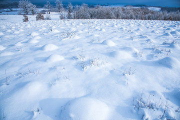 Obraz premium Fresh snow on the field